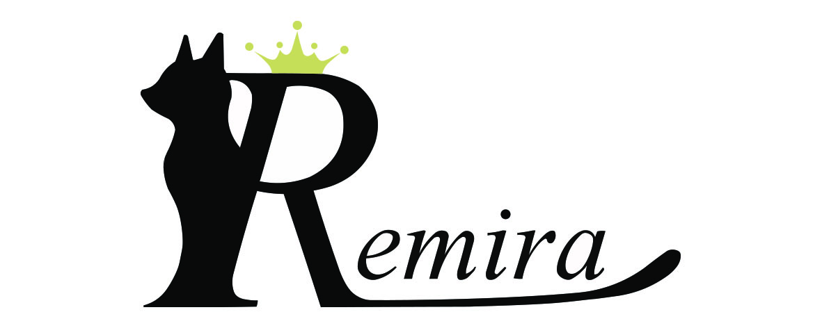 株式会社Remira